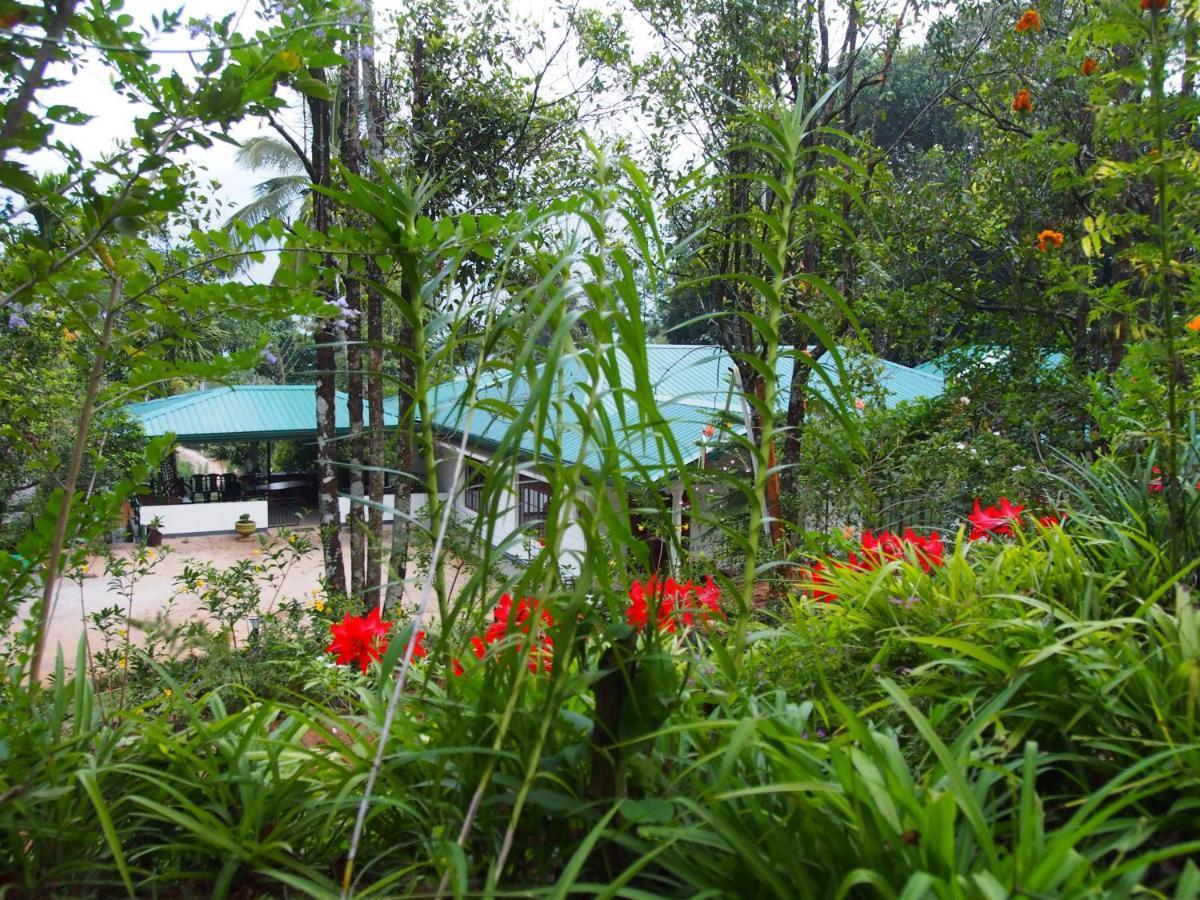 Tearamb Holiday Bungalow Otalawa Esterno foto
