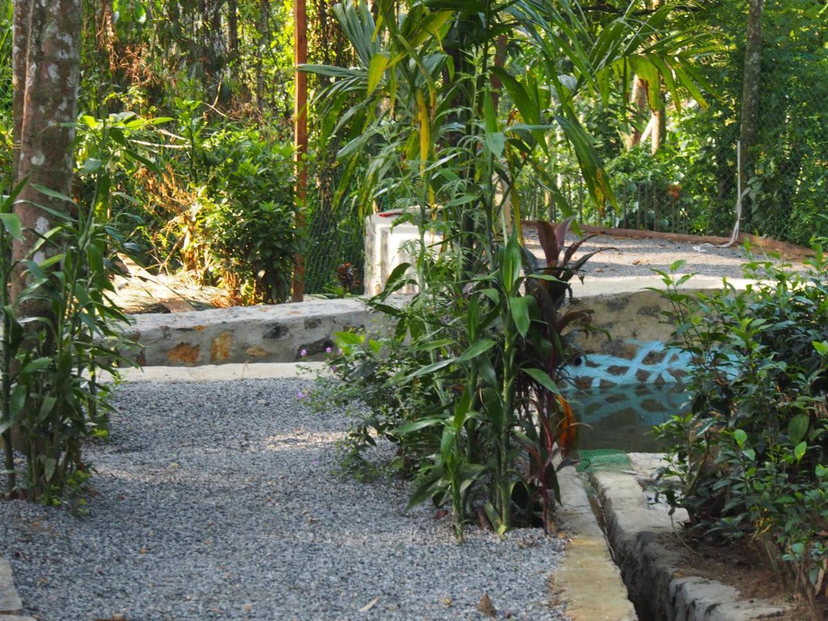 Tearamb Holiday Bungalow Otalawa Esterno foto