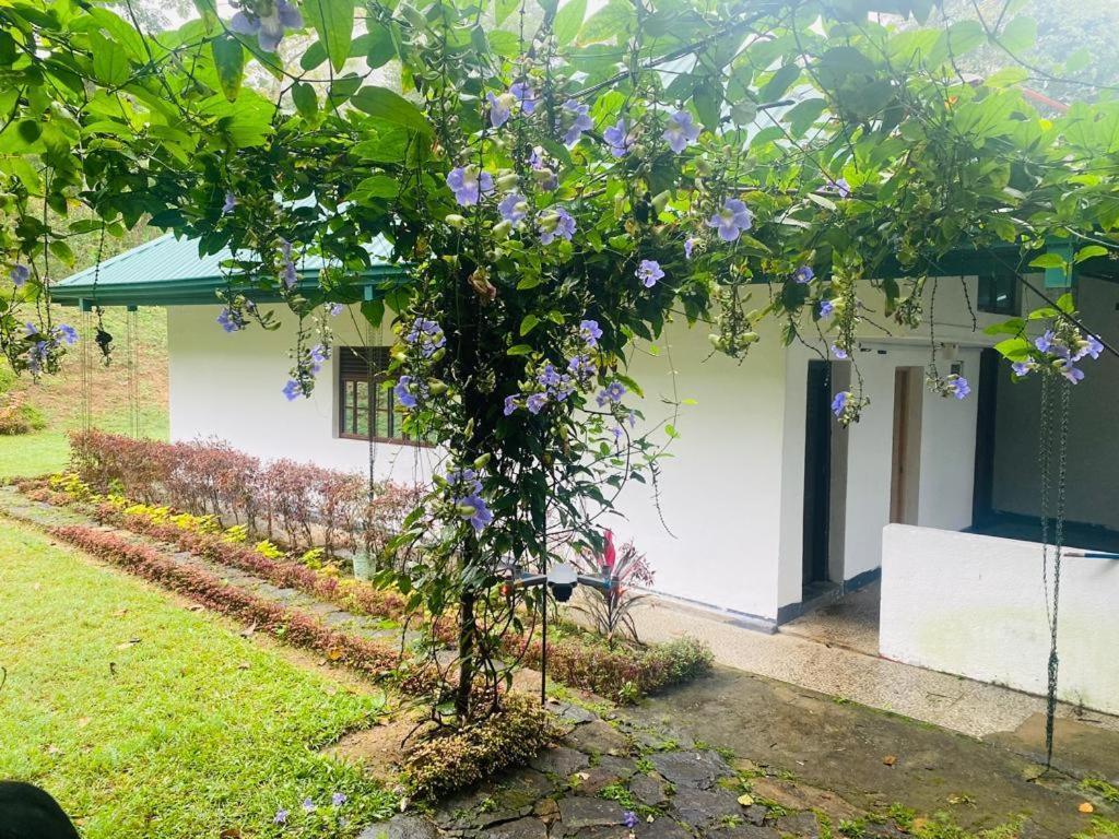 Tearamb Holiday Bungalow Otalawa Esterno foto
